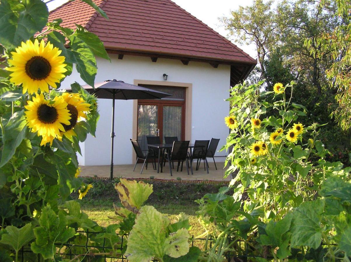 Ferienwohnung Egrelato Vendeghaz Balatonakali Exterior foto